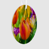 Tulips-Verzauberung Ornament (Vorderseite)