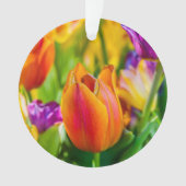 Tulips-Verzauberung Ornament (Vorderseite)