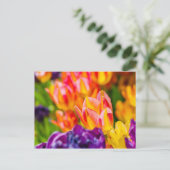 Tulips-Verzauberung Postkarte (Stehend Vorderseite)