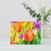 Tulips-Verzauberung Postkarte (Stehend Vorderseite)