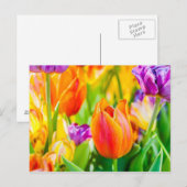 Tulips-Verzauberung Postkarte (Vorne/Hinten)