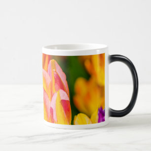 Tulips-Verzauberung Verwandlungstasse