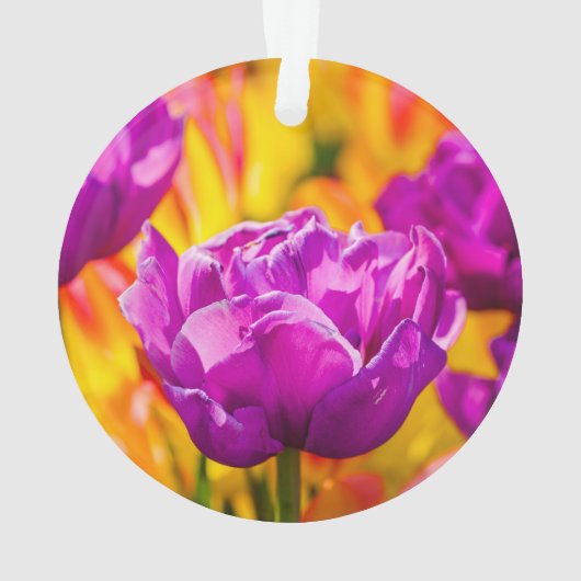 Tulips Verzauberung Violet Ornament (Rückseite)
