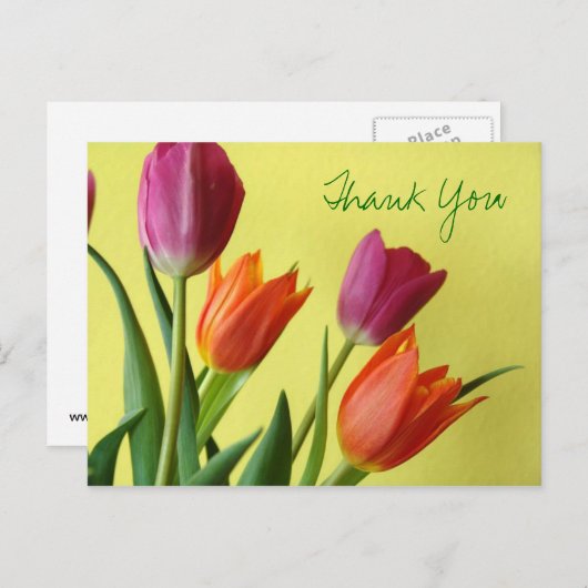 Tulips Vielen Dank Postcard Postkarte (Vorne/Hinten)