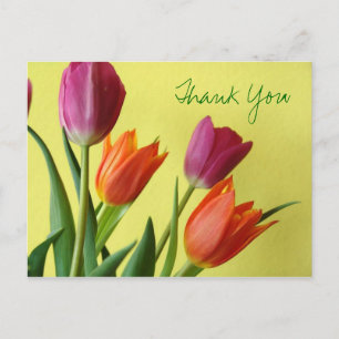 Tulips Vielen Dank Postcard Postkarte