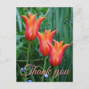 Tulips Vielen Dank Postcard Postkarte