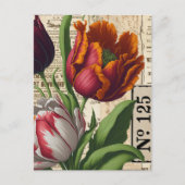 Tulips Vintag Collage Postkarte (Vorderseite)