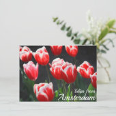 Tulips von Amsterdam Card (Stehend Vorderseite)