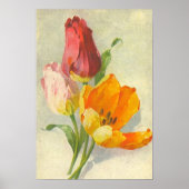 Tulips von Catherine Klein Poster (Vorne)