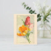 Tulips von Catherine Klein Postkarte (Stehend Vorderseite)