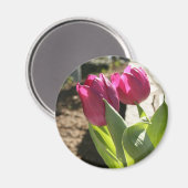Tulips von Mutter Magnet (Vorderseite/Rückseite)