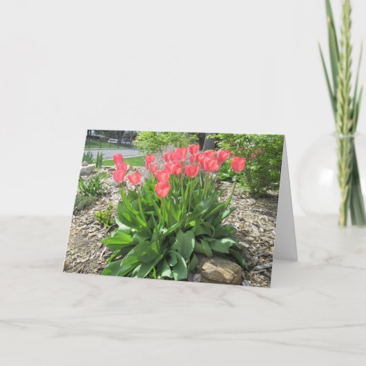 Tulips werden schnell gesund karte (Vorderseite)