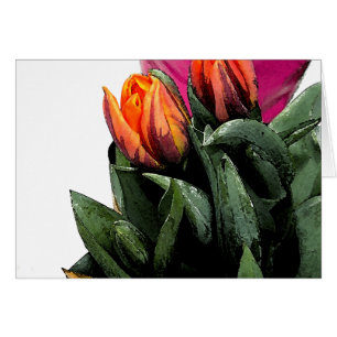 Tulips wieder