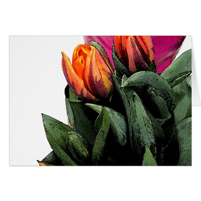 Tulips wieder (Vorderseite (Horizontal))