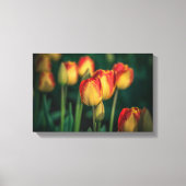 Tulips Wrapped Canvas Leinwanddruck (Vorderseite)
