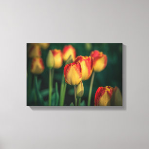Tulips Wrapped Canvas Leinwanddruck