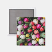 Tulissen Farbige Blume Osterfrühling Magnet (Vorderseite/Rückseite)