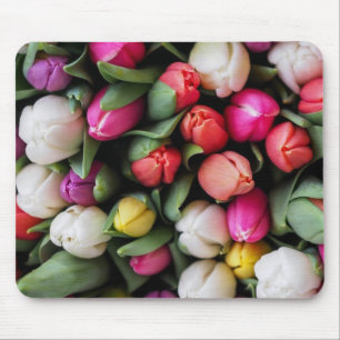 Tulissen Farbige Blume Osterfrühling Mousepad