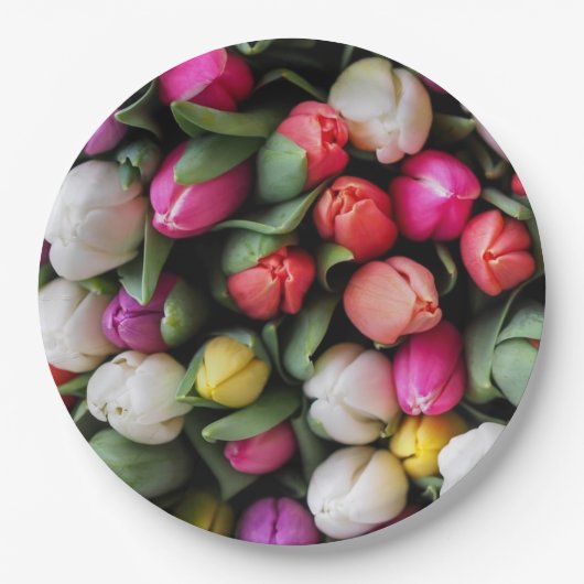 Tulissen Farbige Blume Osterfrühling Pappteller (Vorderseite)