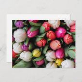 Tulissen Farbige Blume Osterfrühling Postkarte (Vorne/Hinten)