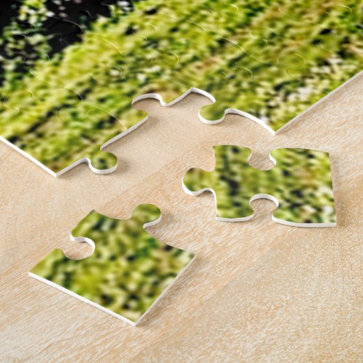 Tulloch Castle - Davidson Clan Puzzle (Seite)