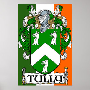 Tully Coat of Arms Irish Flag Print Poster