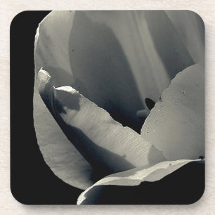 Tulp in Schwarz und Weiß Untersetzer