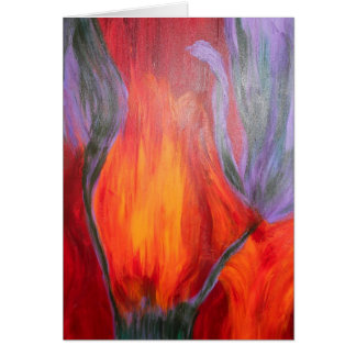 Tulpe