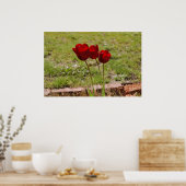 Tulpe99 Poster (Küche)