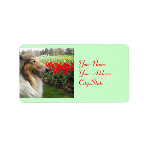 Tulpe-Aufkleber des Collie-N Adressaufkleber