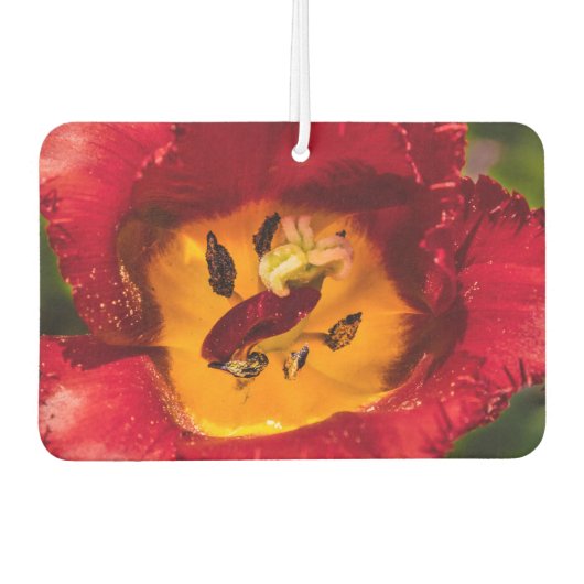 Tulpe Autolufterfrischer (Vorderseite)