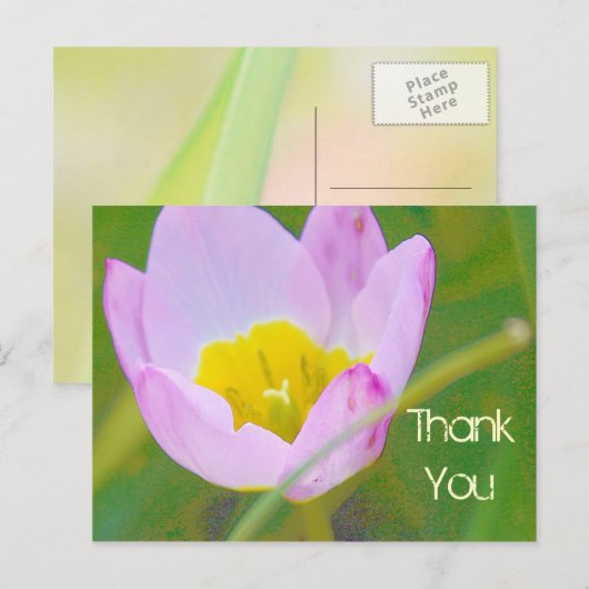 Tulpe Blume danke leere Karte (Vorne/Hinten)
