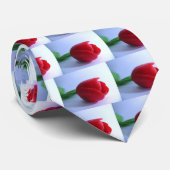 Tulpe-Blume Krawatte (Gerollt)