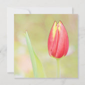 Tulpe-Blume Party Einladung (Rückseite)