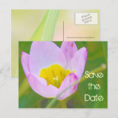 Tulpe-Blume Save the Date leere Karte (Vorne/Hinten)