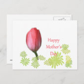 Tulpe-Blume, Tag der glücklichen Mutter Postkarte (Vorne/Hinten)