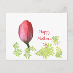 Tulpe-Blume, Tag der glücklichen Mutter Postkarte