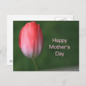 Tulpe-Blume, Tag der glücklichen Mutter Postkarte (Vorne/Hinten)