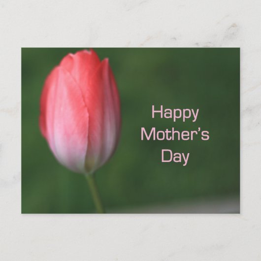 Tulpe-Blume, Tag der glücklichen Mutter Postkarte (Vorderseite)