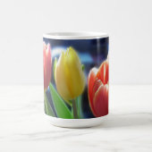 Tulpe-Blumen, die Tasse trinken (Mittel)