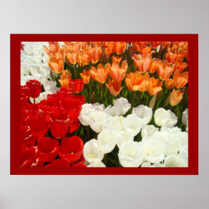 Tulpe-Blumen-Festival-Garten-Kunst druckt Natur Poster