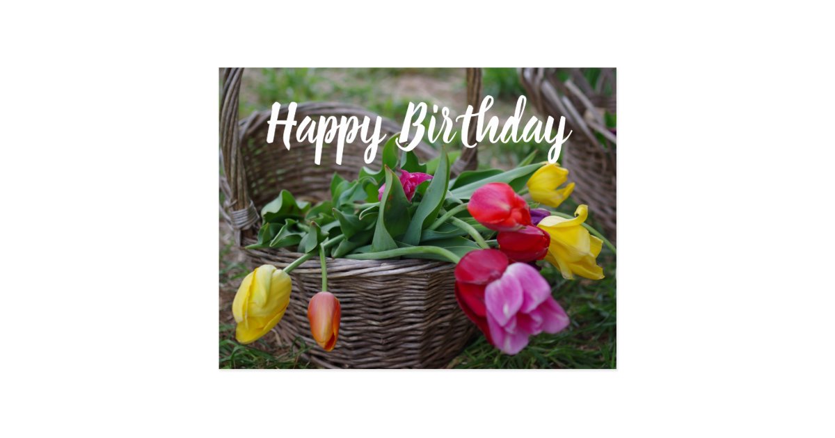 Alles Gute Zum Geburtstag Konzept Des Entwurfes Des