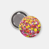 Tulpe-Blumenmagneten Frühlings-Tulpen Magnet (Vorderseite/Rückseite)