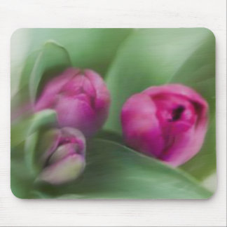 Tulpe-Blumenstrauß Mousepad