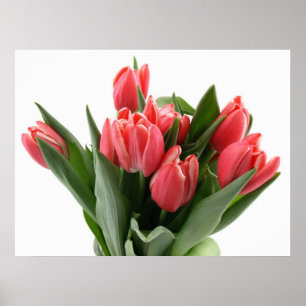 Tulpe-Blumenstrauß Poster