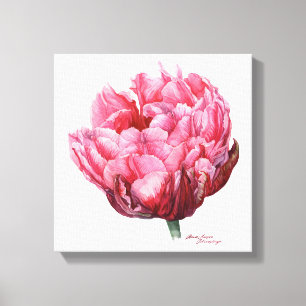 Tulpe. Botanisches Aquarell Leinwanddruck
