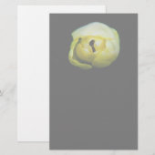 Tulpe Briefpapier (Vorne/Hinten)
