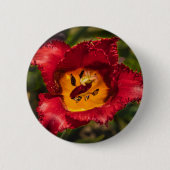 Tulpe Button (Vorderseite)