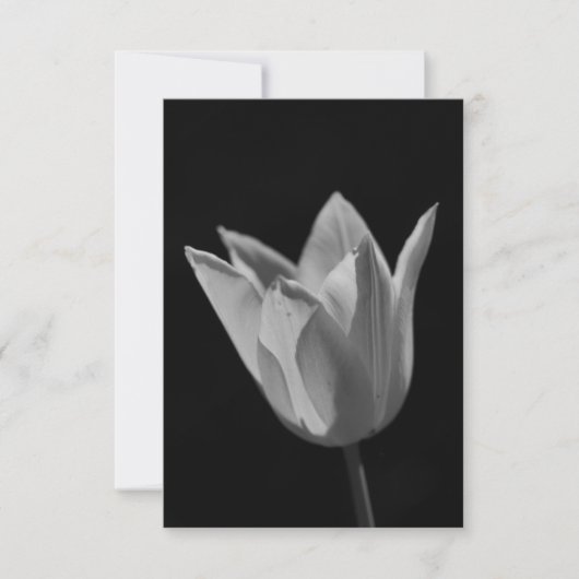 Tulpe Dankeskarte (Vorderseite)