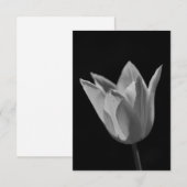 Tulpe Dankeskarte (Vorne/Hinten)